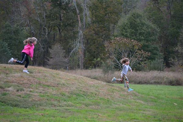 Warwick Park runners